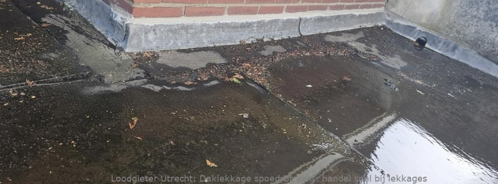 Daklekkage Spoed Utrecht