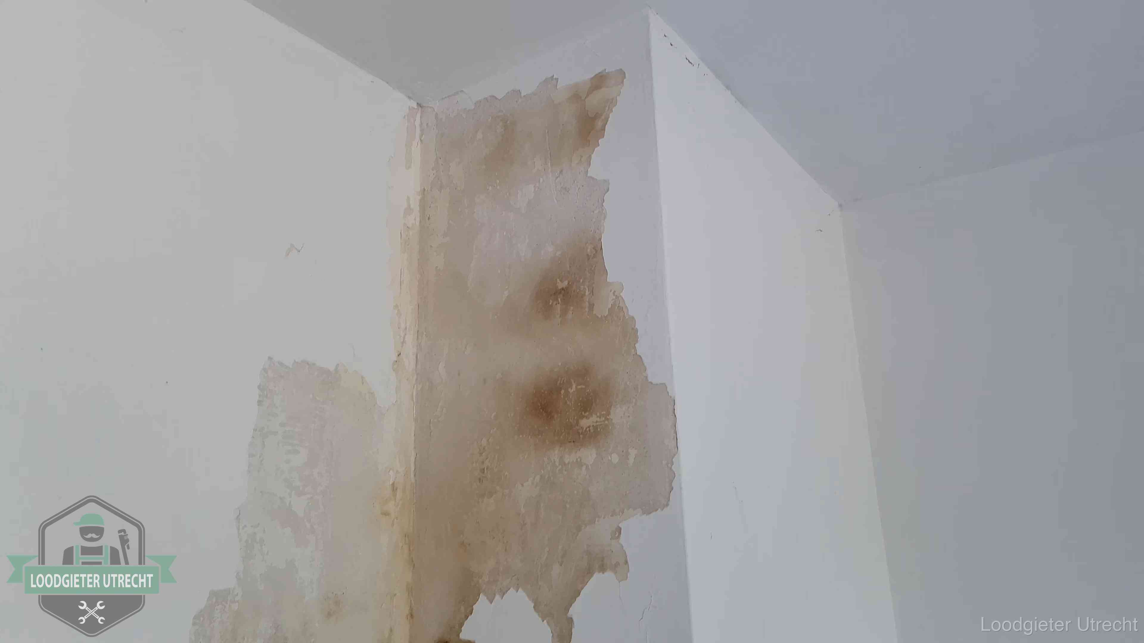 Bruine vochtkringen en afbladderend stucwerk op een binnenmuur in Utrecht, een eerste teken van daklekkage