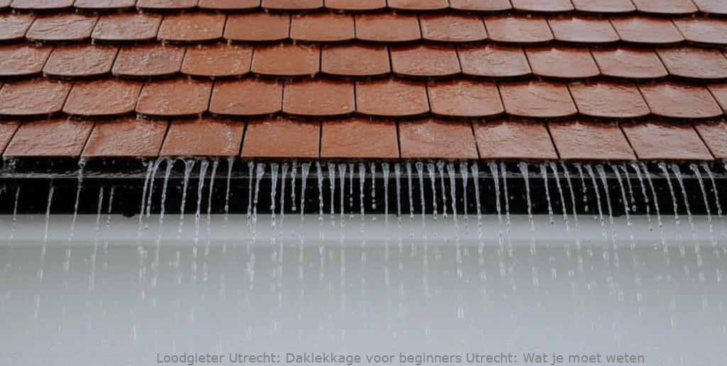 Daklekkage Voor Beginners Utrecht