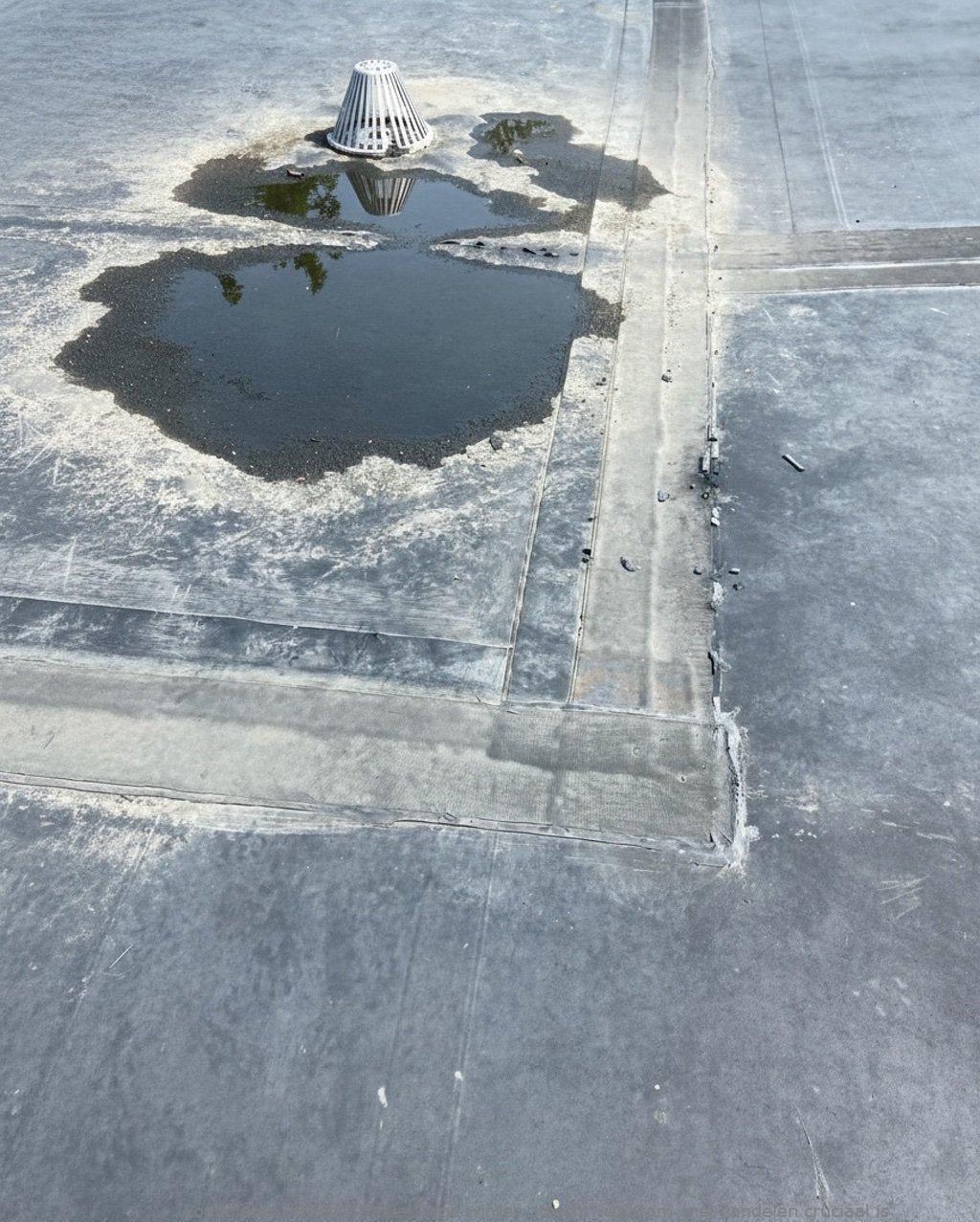 Daklekkage Winter Utrecht