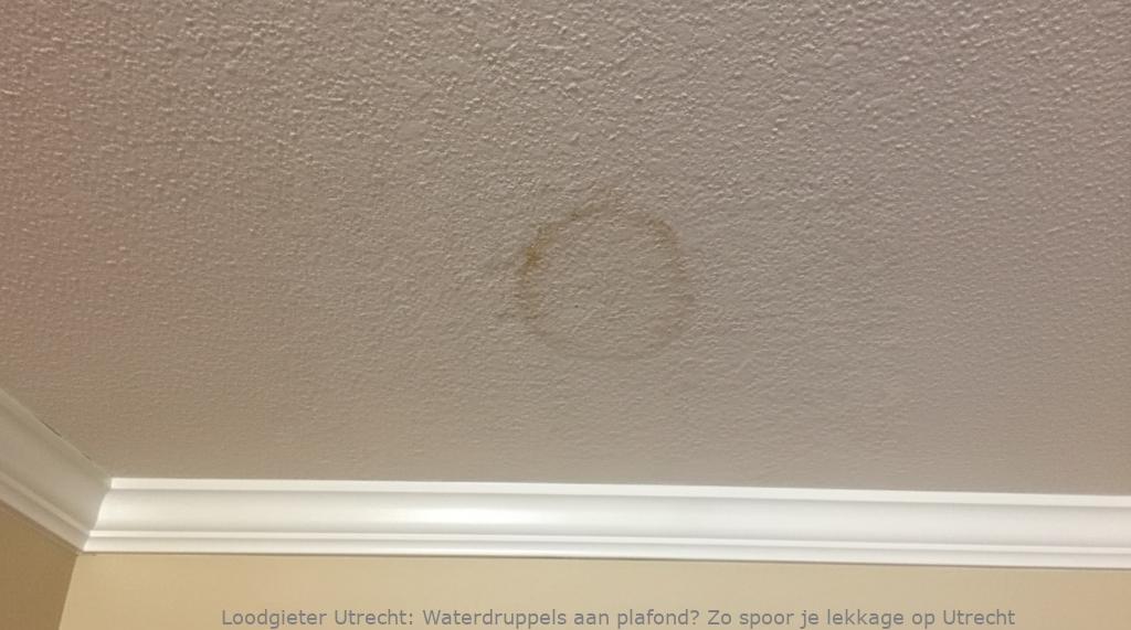 Lekkage Plafond Utrecht