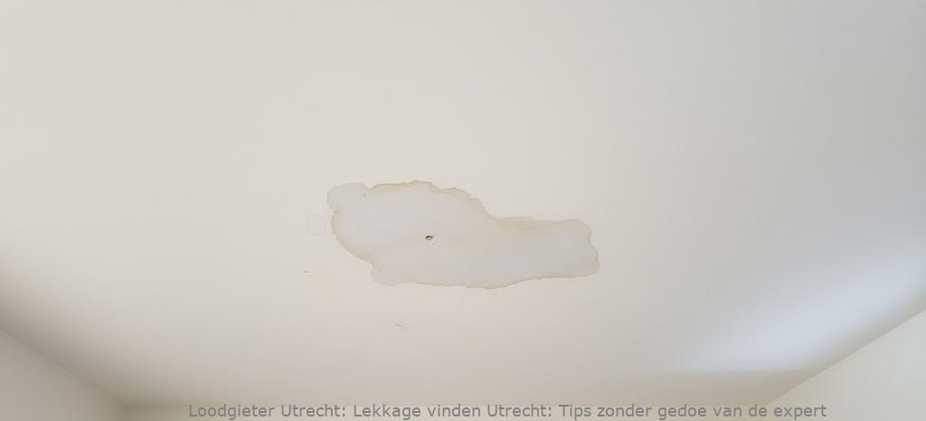 Lekkage Vinden Utrecht