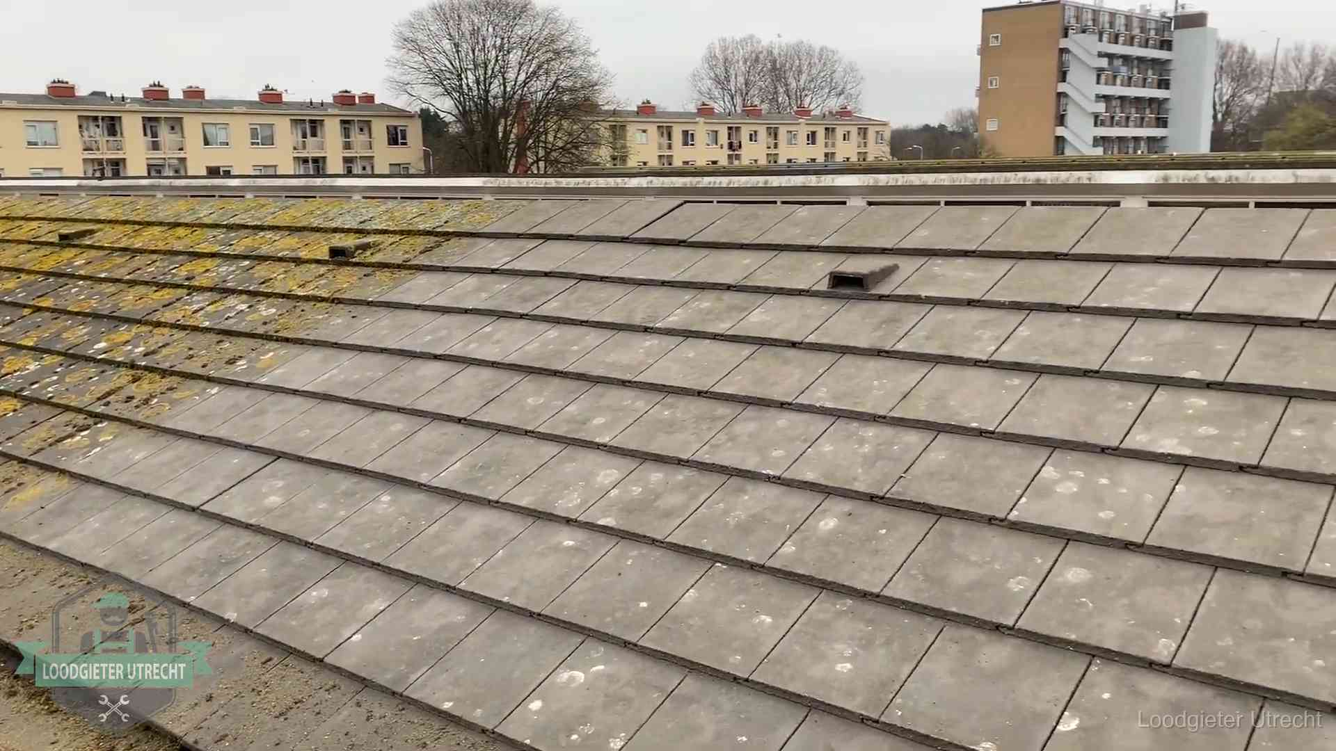 Schuin dak met betonpannen vol mos in Utrecht, een risico op lekkage bij de pannen