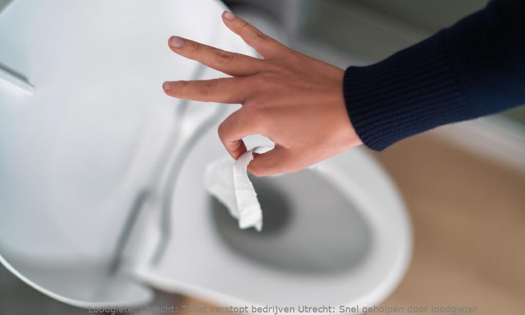 Toilet Verstopt Bedrijven Utrecht