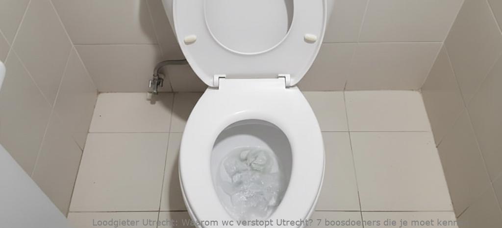 Waarom Wc Verstopt Utrecht